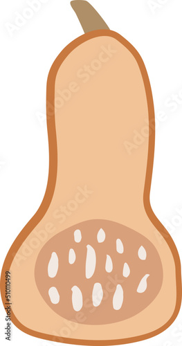 Orange Muscat Pumpkin Illustration
