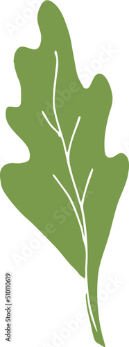 Green Lettuce Leaf Illustration
