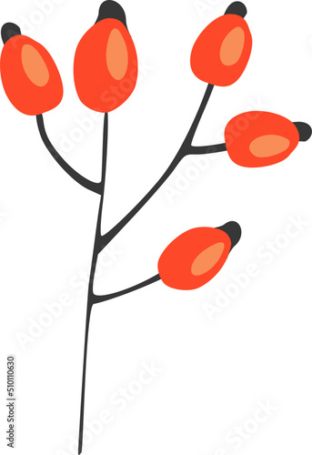 Rose Hips Branch Illustration