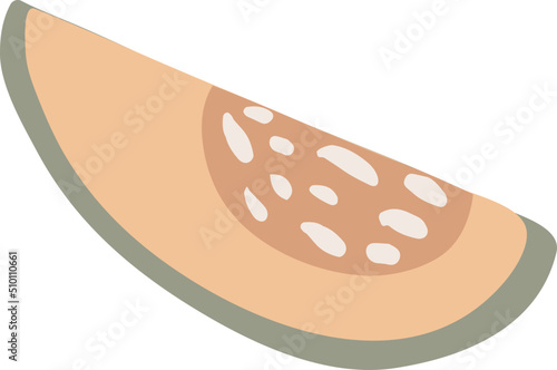 Half Orange Melon Fruit Illustration
