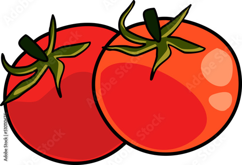 Two Red Tomatoes Illustration