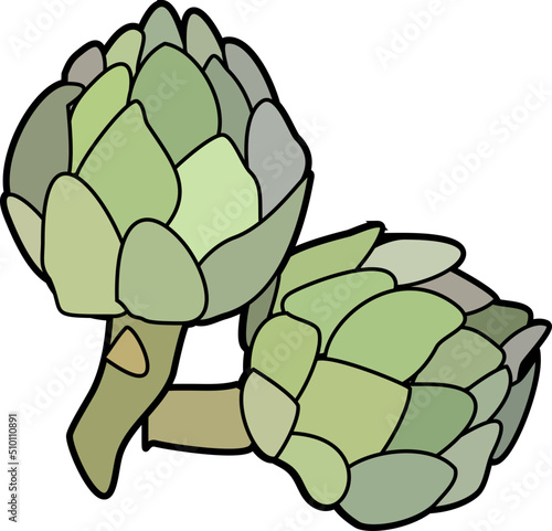 Two Artichokes Illustration