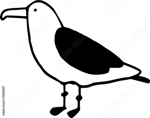 Seagull Bird Doodle Illustration