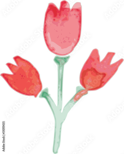 Watercolor Red Tulips Flowers Illustration