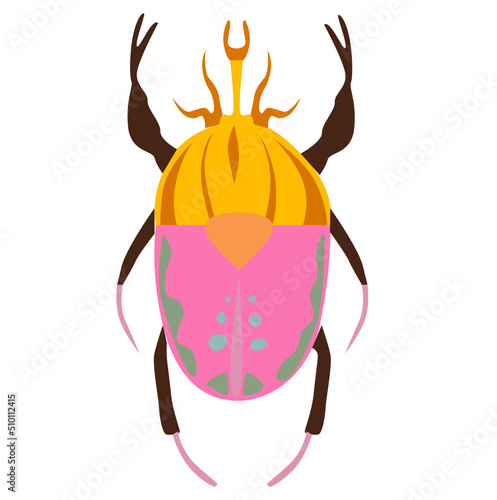 Bug insect illustration