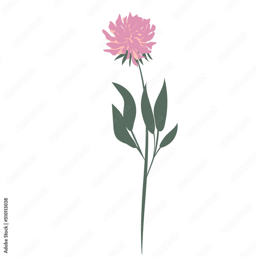 Spring flower illustration Spring flower illustration