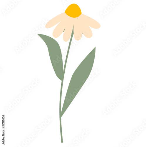 Spring flower illustration