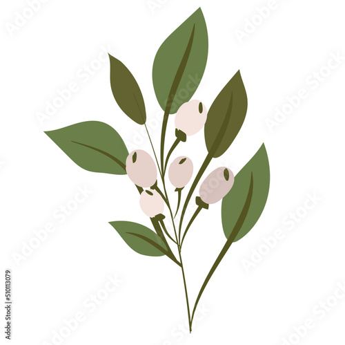 Winter branch with berries illustration