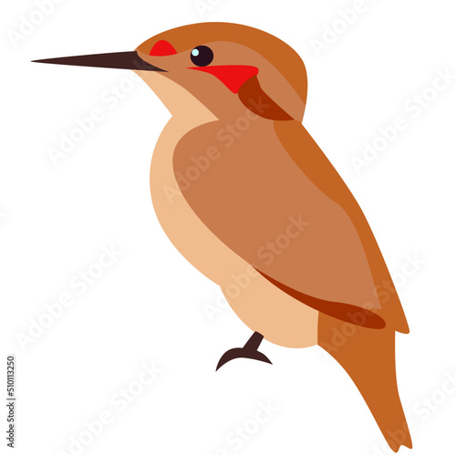 Winter bird illustration