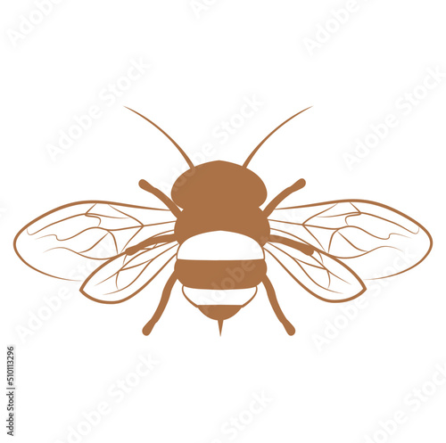 Bee line illustration