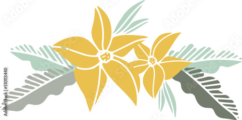 Hand drawn tribal illustration s with flowers