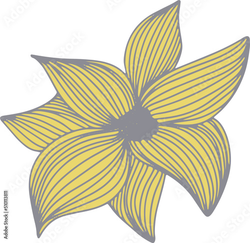 Yellow flowers and leaves vector hand drawn illustration