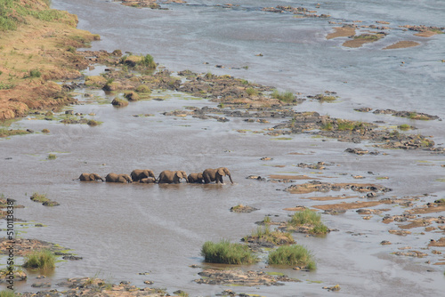 Afrikanischer Elefant im Olifants River / African elephant in Olifants River / Loxodonta africana. © Ludwig
