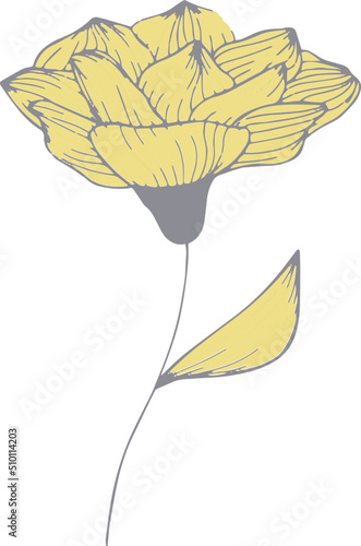 Yellow flowers and leaves vector hand drawn illustration