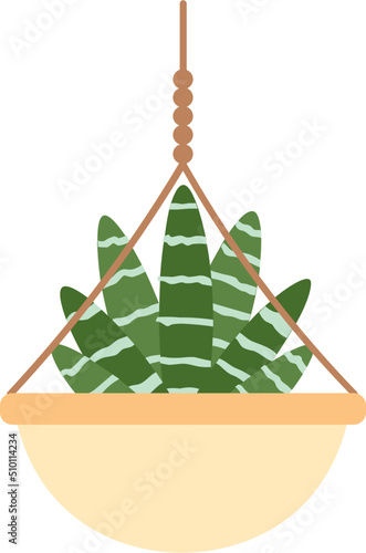 Plant in hanging pot macrame hanger
