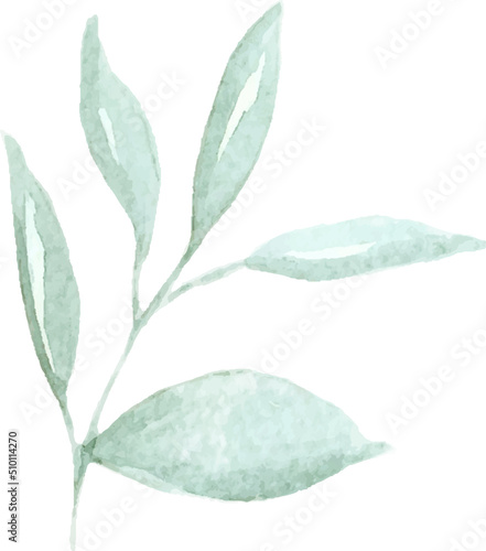 Green watercolor branch illustration hand drawn