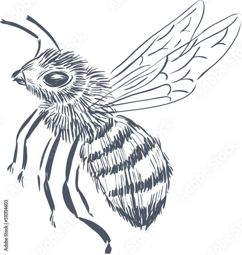 Flying bee