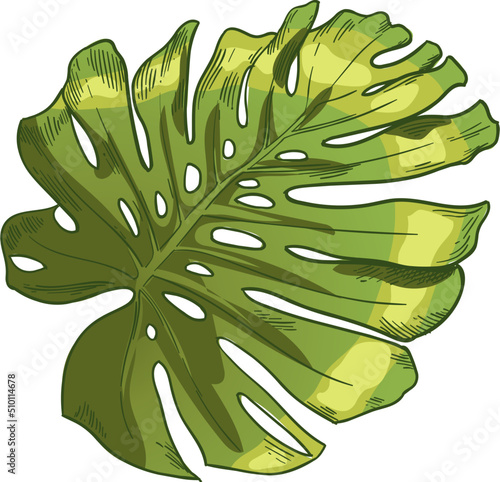 Hand drawn green tropical leaves