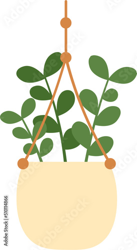 Plant in hanging pot macrame hanger