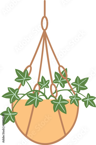 Plant in hanging pot macrame hanger