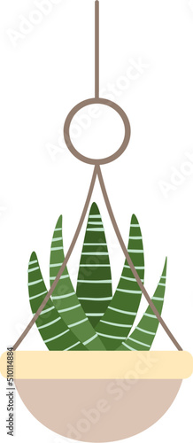 Plant in hanging pot macrame hanger