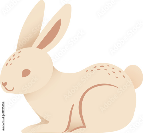 Cute sitting rabbit