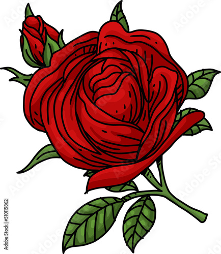 Red Rose Illustrations
