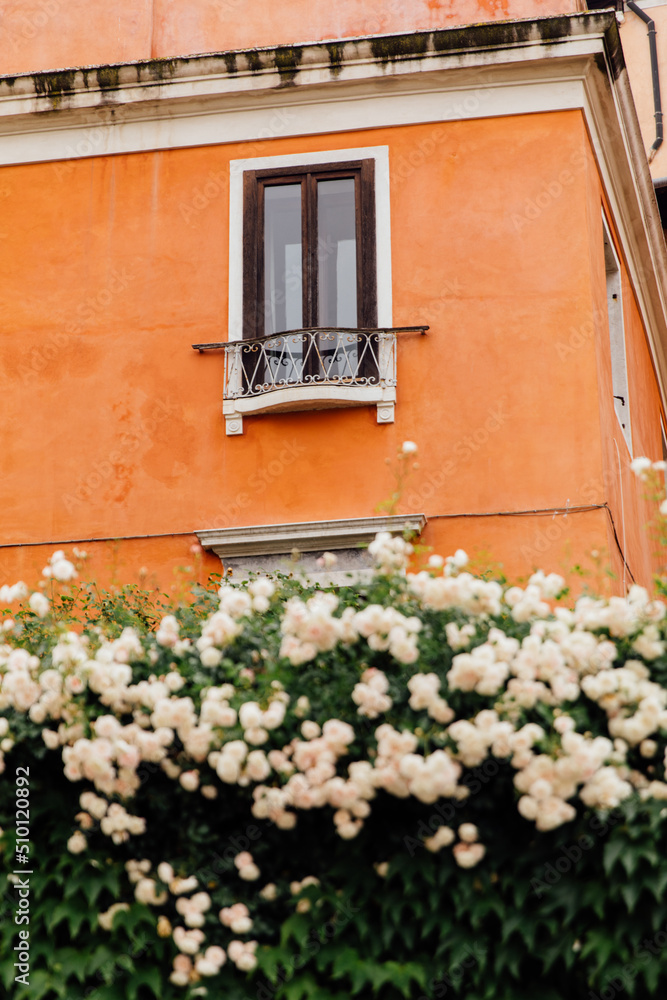 Roses grow in front of an orange building in Rome, Italy Roses grow in front of an orange building in Rome, Italy