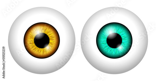 set of realistic human eyeball isolated or close up human eyeball retina with pupil and iris. eps vector