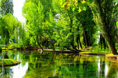 Amazing view at a calm pond full of algae reflecting greenery of various overhanging trees and a bridge that connects two walkways in Le Fonti del Clitunno park on a sunny summer day