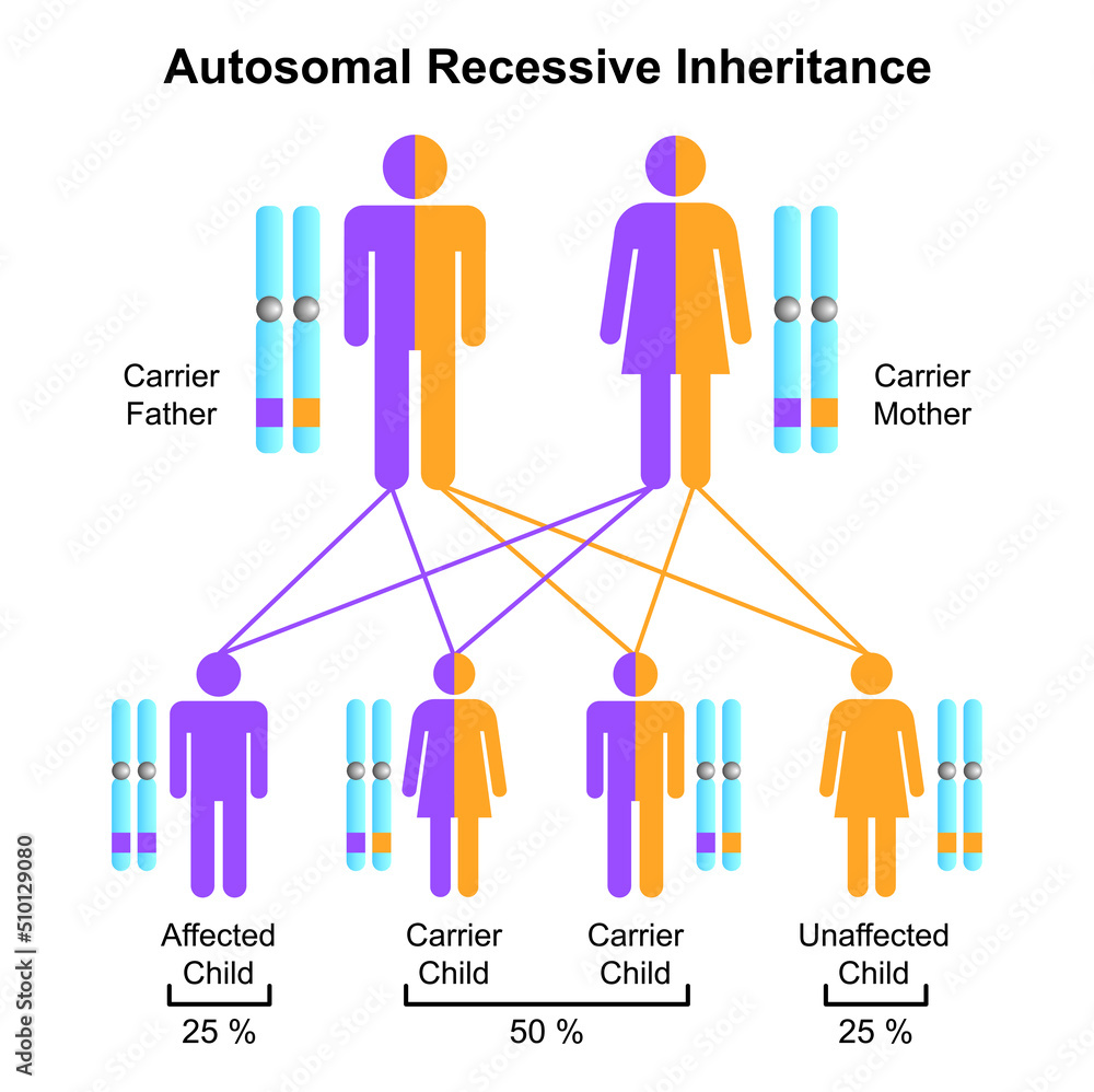 Scientific Designing of Autosomal Recessive Inheritance. Colorful ...