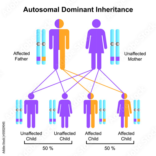 Scientific Designing of Autosomal Dominant Inheritance. Colorful Symbols. Vector Illustration.