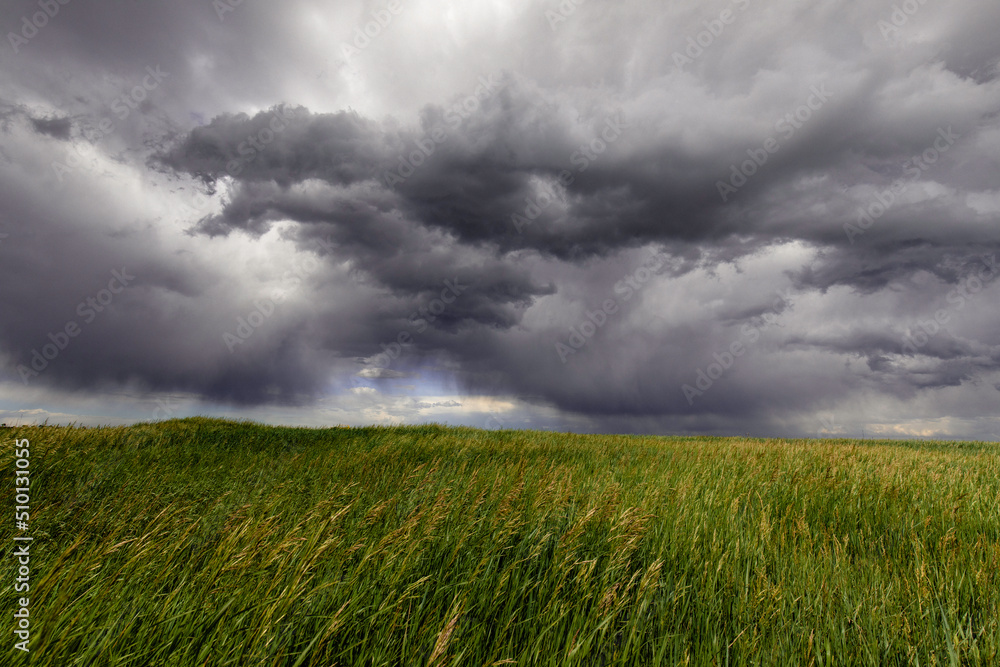 Clouds swirl during a summer rain storm on the prairies. Clouds swirl during a summer rain storm on the prairies.