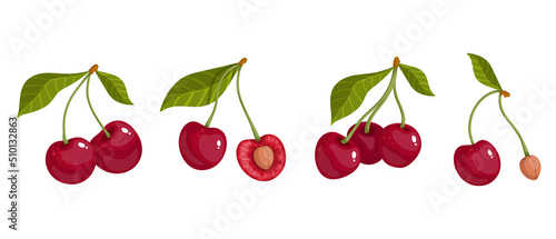 A set of ripe cherries. Colorful summer fruits.Cartoon vector graphics.