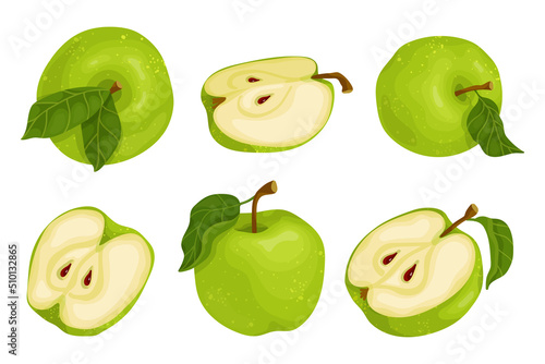 Set of green apples.
Colorful summer fruits.Cartoon vector graphic.