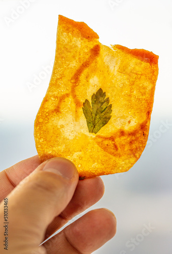 herbed potato chip  photo