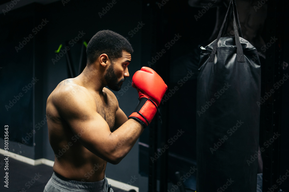 Boxer training with a punching bag Boxer training with a punching bag