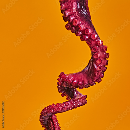 Octopus detail photo