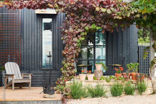 Modern home with garden
