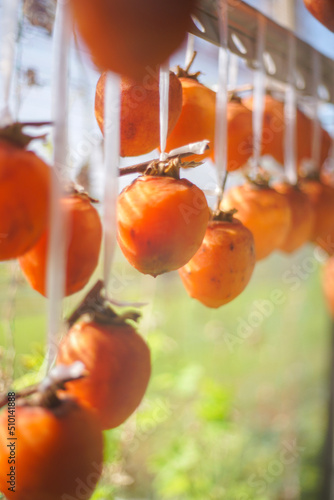 Dried persimmon,fruits