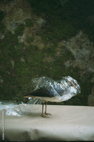 A bird stuck in plastic garbage on a background of greenery