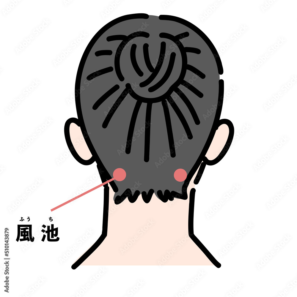 風池を示している女性の首上の後ろ姿 Stock Vector | Adobe Stock