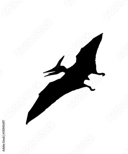dinosaur svg bundle, dinosaur, t-rex svg, dinosaur png, trex svg, dinosaur shirt, Tyrannosaurus, Rex Dinosaur, Dinosaur Silhouette Svg png
