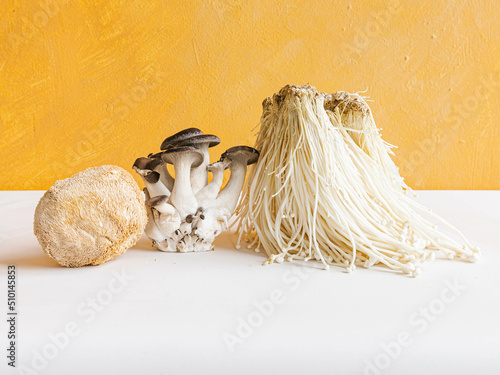 Mushrooms on yellow background photo