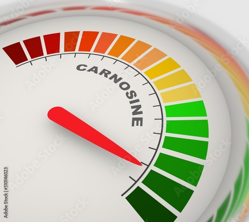 Abstract meter with scale reading high level of carnosine or L-carnosine food supplement. 3D render