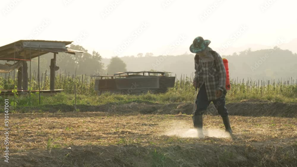 Farmers are using chemical sprayers on their farm fields. to prevent insects To nourish plants. Use of agricultural chemicals. Farmers are using chemical sprayers on their farm fields. to prevent insects To nourish plants. Use of agricultural chemicals.