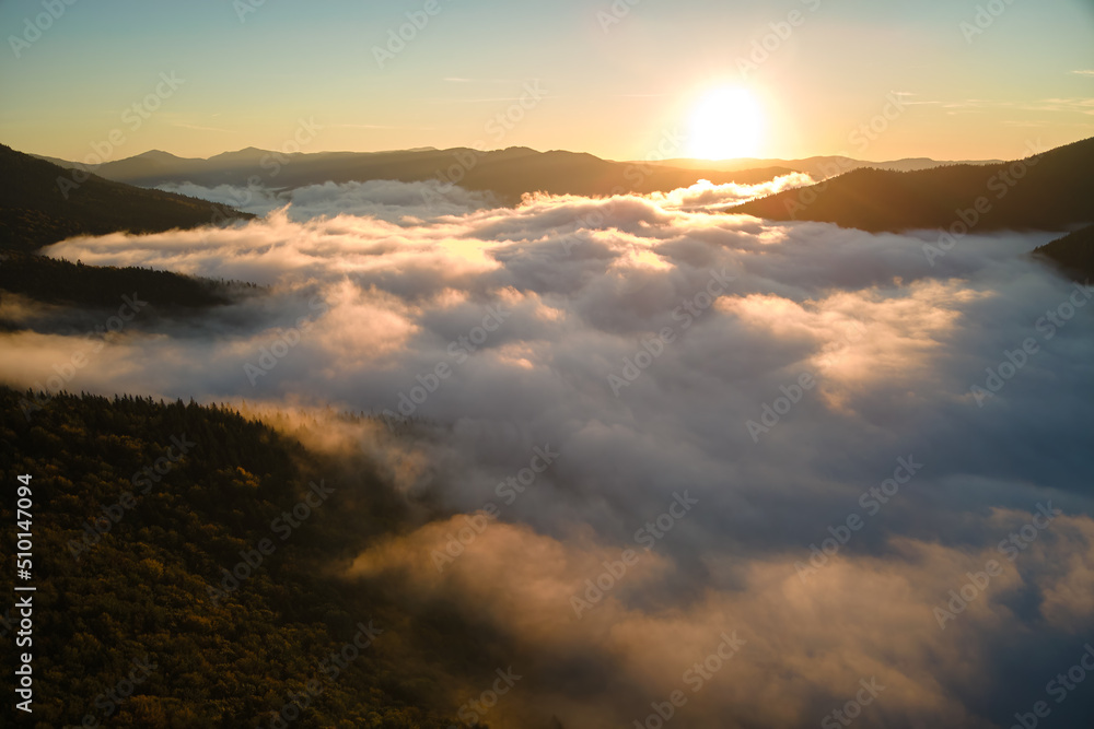 Aerial view of bright foggy morning over dark mountain forest trees at autumn sunrise. Beautiful scenery of wild woodland at dawn