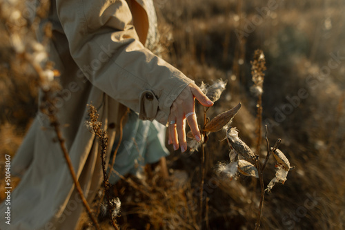 
girl's hand on dry grass in the field photo