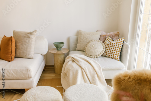 Interior living room decor