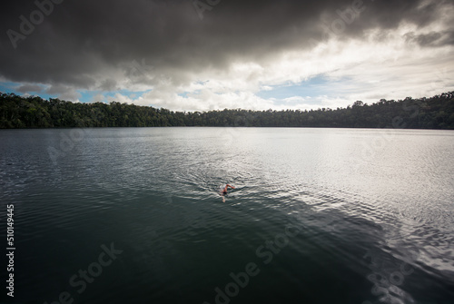 Man swimming alone in wild tropical lake